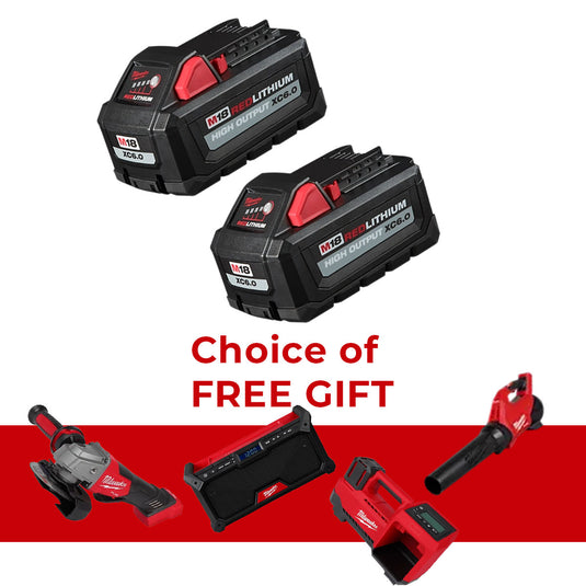 M18™ REDLITHIUM™ HIGH OUTPUT™ XC6.0 Battery Pack (2 Pk)